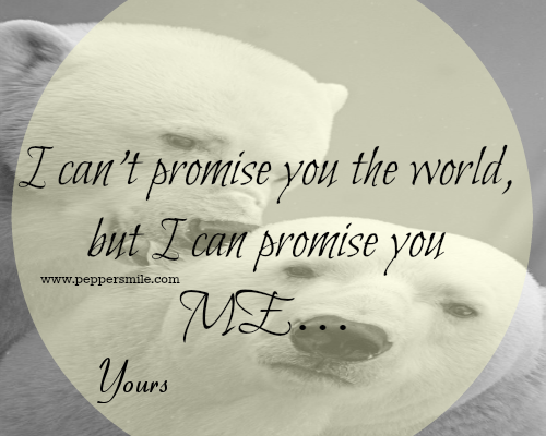 i can promise you