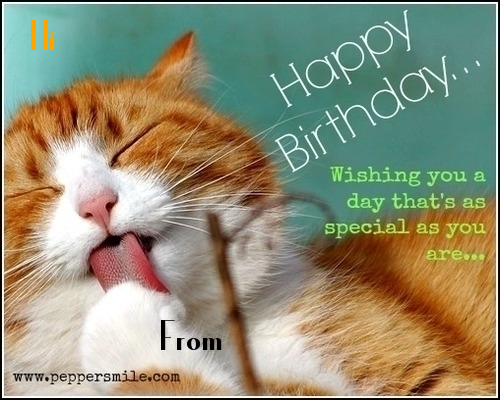 Kitty Happy Birthday Wish
